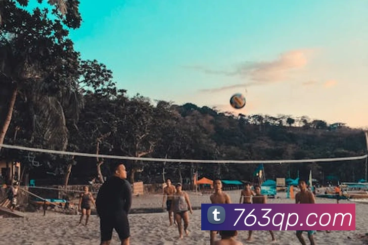 奖项证书
